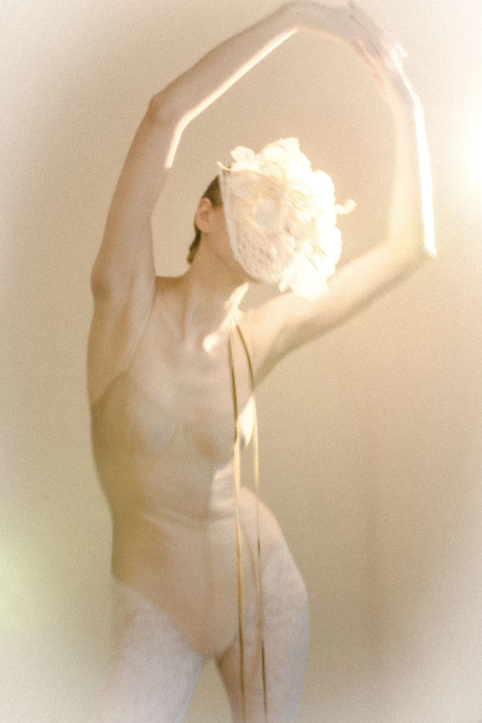 Laura Anspoka, Novaliss designer